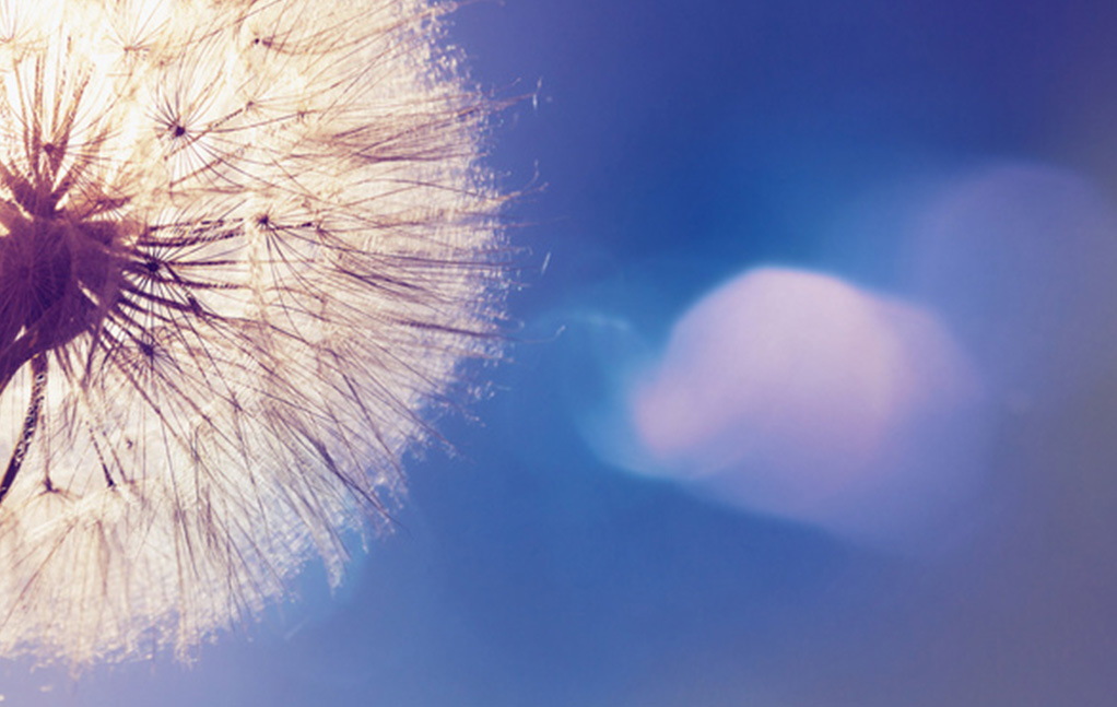 腾博汇游戏官网·(中国)专业效劳,诚信为本